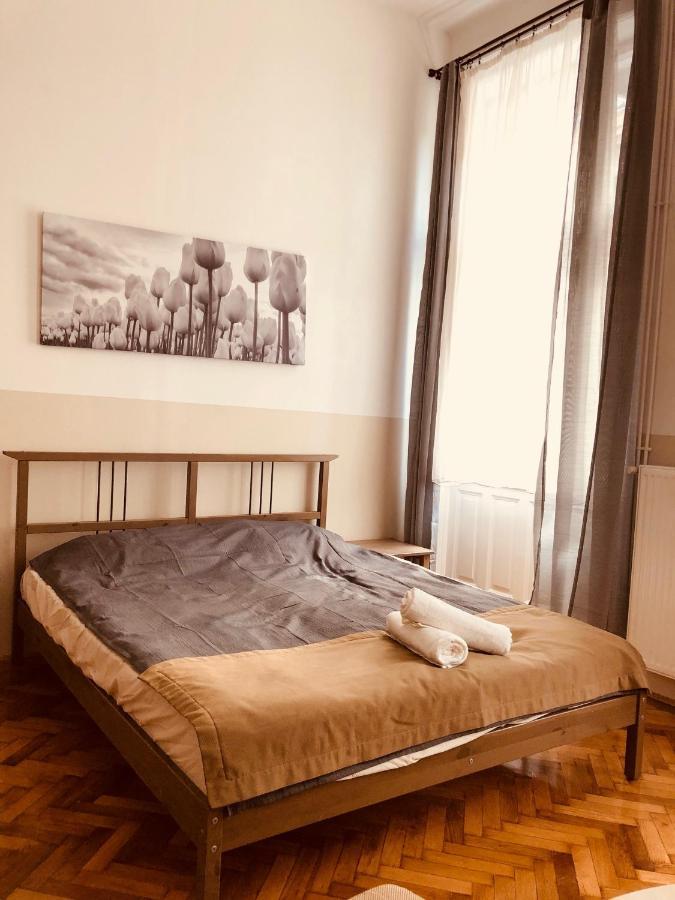 Downtown Apartment بودابست المظهر الخارجي الصورة